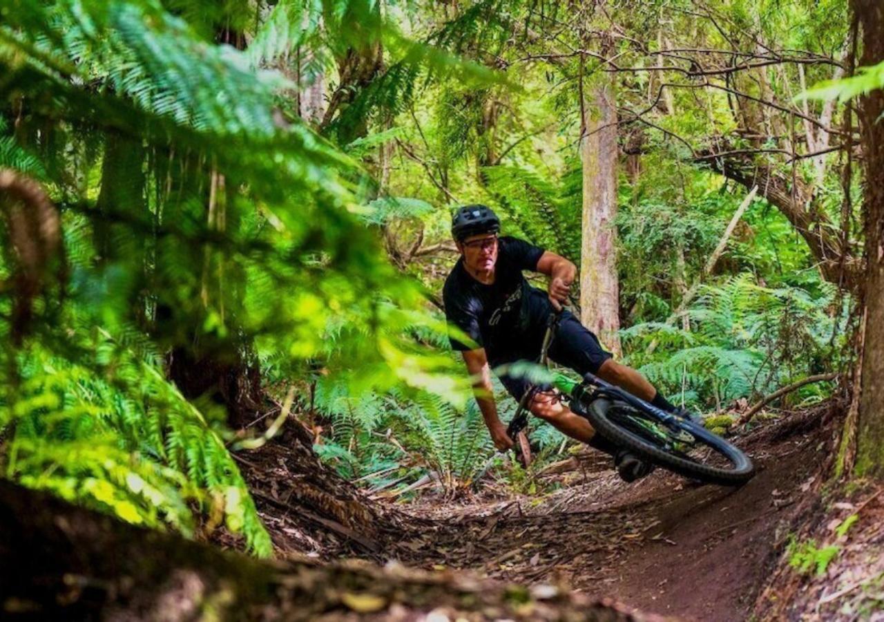 Big4 Tassie Getaway Parks St Helens 4*